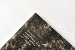 ie-021: Alison Blunt / Elisabeth Harnik – Morphic Resonance And Other Habits Of Nature