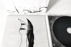 ie-022: Annette Krebs / Jean-Luc Guionnet – Pointe Sèche