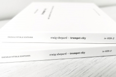 ie-028-2: Craig Shepard – Trumpet City
