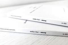 ie-031: Stefan Thut – Among