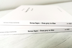 ie-032: Ferran Fages – From Grey To Blue