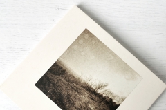 ie-038: Csaba Pengő – Circles