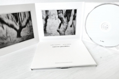 ie-039: Judith Wegmann / Bruno Duplant – Univers Parallèles