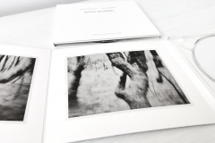 ie-039: Judith Wegmann / Bruno Duplant – Univers Parallèles