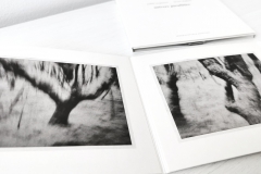 ie-039: Judith Wegmann / Bruno Duplant – Univers Parallèles
