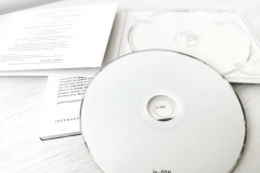 ie-039: Judith Wegmann / Bruno Duplant – Univers Parallèles