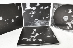 ie-044: Warble – Swarm