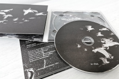 ie-044: Warble – Swarm